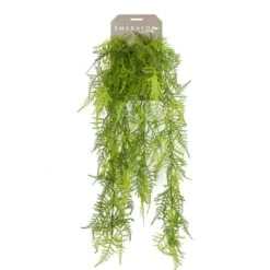 Emerald Asperges Plumosus Artificielle 80 Cm -Promos Botanisia Magasin b843aca257a14696