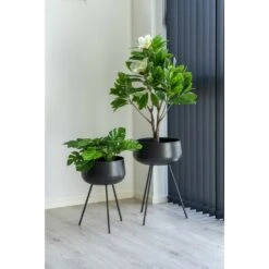Pots De Fleurs Ardola 2 Pots De Fleurs En Noir -Promos Botanisia Magasin ee06d01e48416f6a