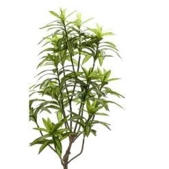 Emerald Arbre Dracaena Artificiel Vert 130 Cm 419843 -Promos Botanisia Magasin f0ca1b753200d217
