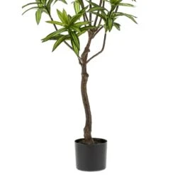 Emerald Arbre Dracaena Artificiel Vert 130 Cm 419843 -Promos Botanisia Magasin f3e2037316c69fb8