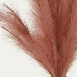 Plumeau Artificiel Terracotta 110cm Lot De 3 -Promos Botanisia Magasin f9cded8eb2191072