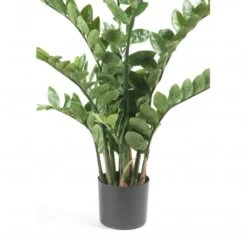 Emerald Zamioculcas Artificiel Vert 110 Cm 11.662c 8 Emerald Zamioculcas Artificiel Vert 110 Cm 11.662c -Promos Botanisia Magasin fb433d9acae0b9bb