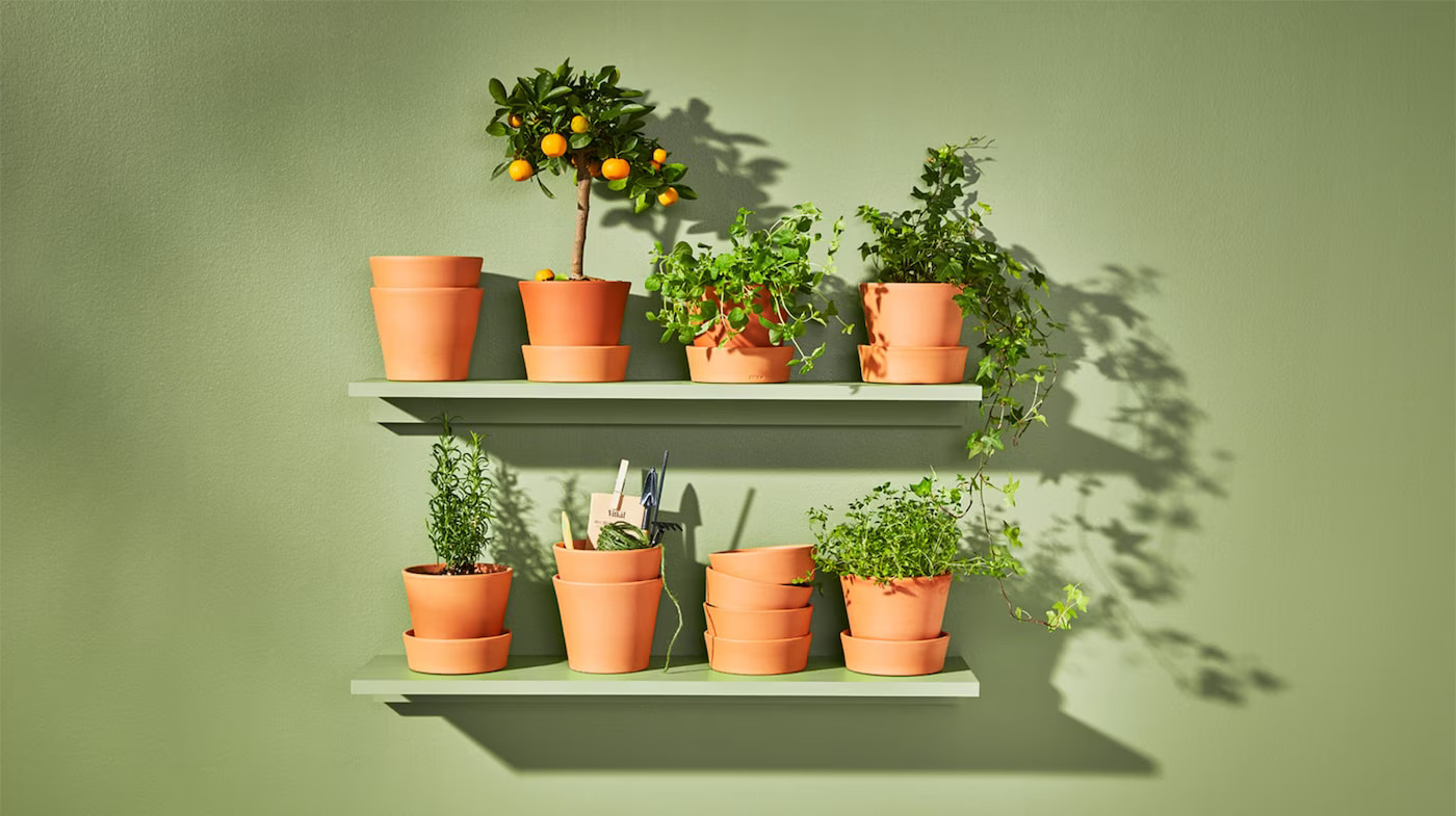 Promos Botanisia Magasin -Promos Botanisia Magasin outdoor plant pots 30436