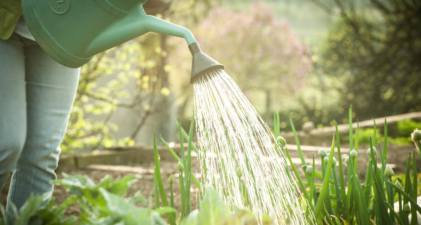 Promos Botanisia Magasin -Promos Botanisia Magasin water geven in de tuin